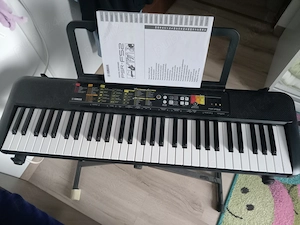 Orga electronica