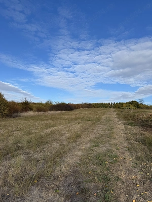 Teren Intravilan | 4355 mp | Panoramic - imagine 4