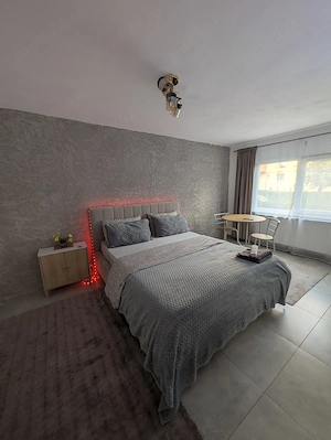 Cazare in regim hotelier Petroșani  - imagine 3