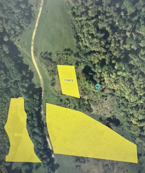 Teren Bradu, jud. Sibiu, 2500m2 - imagine 4