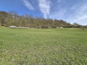 Teren Bradu, jud. Sibiu, 2500m2 - imagine 2