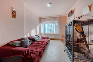 Zona C Calarrasilor ,apartament în imobil interbelic - imagine 4