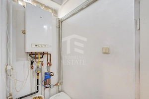 Zona C Calarrasilor ,apartament în imobil interbelic - imagine 15