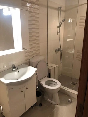 Apartament cu o cameră de închiriat în Unirii - imagine 3