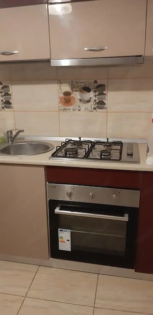 Apartament cu 1 cameră de închiriat în Buziașului - imagine 3