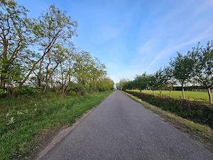 Teren intravilan 9.378 m în Santău -  O oază de liniște și verdeață la 8 min de Băile Tășnad - imagine 5