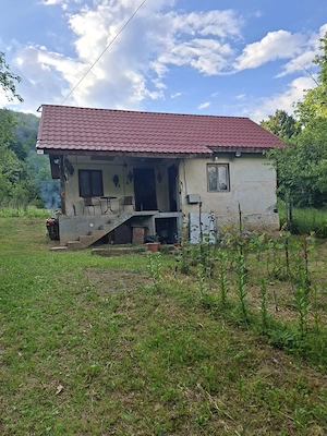 Vând TEREN și casă în satul Costeni, comuna Tismana, județul Gorj. - imagine 10