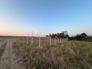 Teren intravialn - 560mp Ciocârlia de sus jud Constnața - imagine 4