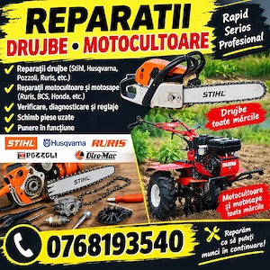 reparatii drujbe si generatoare