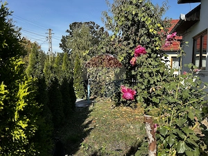 Casă renovată cu 6 camere | Crăciunești, Maramureș - imagine 11