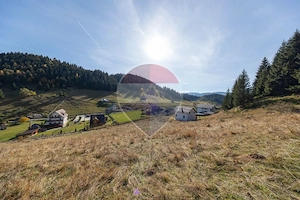 Teren intravilan 4.500 mp cu vedere panoramică spre munți | Fundata - imagine 8