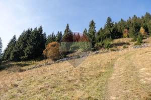 Teren intravilan 4.500 mp cu vedere panoramică spre munți | Fundata - imagine 4