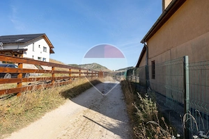 Teren intravilan 4.500 mp cu vedere panoramică spre munți | Fundata - imagine 16