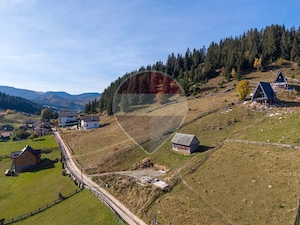 Teren intravilan 4.500 mp cu vedere panoramică spre munți | Fundata - imagine 18