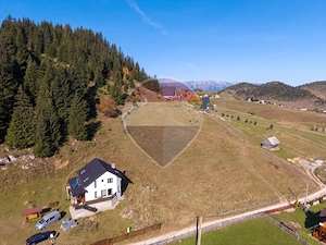 Teren intravilan 4.500 mp cu vedere panoramică spre munți | Fundata - imagine 20