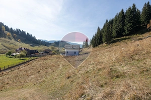 Teren intravilan 4.500 mp cu vedere panoramică spre munți | Fundata - imagine 13