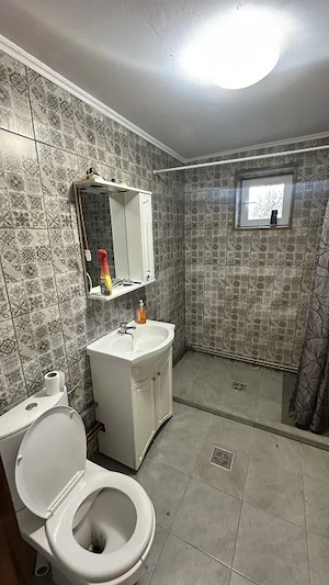 Casă renovată - situată central în satul Aurel Vlaicu  - imagine 6