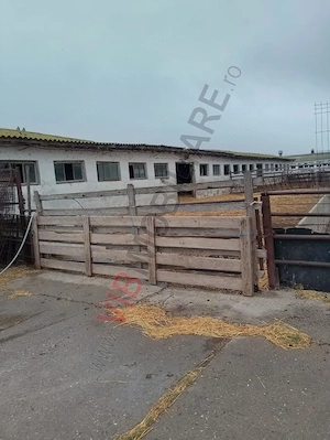 FERMA ZOOTEHNICĂ DE VÂNZARE – ZONA SIBIOARA, JUDEȚUL CONSTANȚA - imagine 2