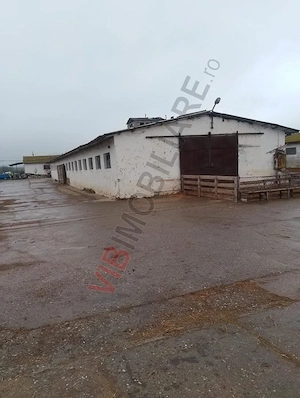 FERMA ZOOTEHNICĂ DE VÂNZARE – ZONA SIBIOARA, JUDEȚUL CONSTANȚA - imagine 5