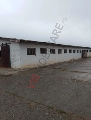 FERMA ZOOTEHNICĂ DE VÂNZARE – ZONA SIBIOARA, JUDEȚUL CONSTANȚA - imagine 4