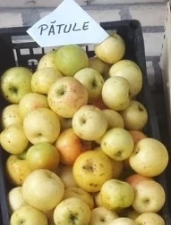 Vand mere Patule și Generos 3 lei kg