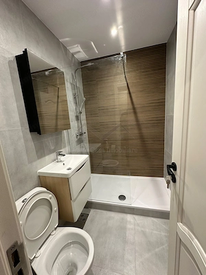 Apartament 1 camera Tatarasi-Metalurgiei - imagine 8