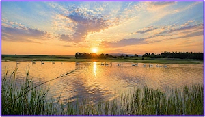 Vanzare vila langa lac !  Se accepta si schimb + diferenta  - imagine 4