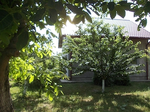 Vanzare vila langa lac !  Se accepta si schimb + diferenta  - imagine 5