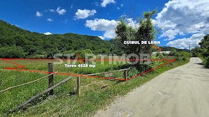 Teren extravilan Glajarie zona Cuibul de Lemn - imagine 2