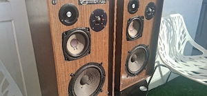 boxe RCF br 35