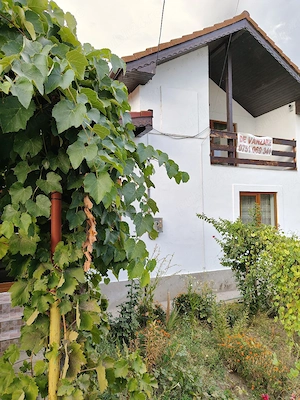 Vand casa in localitatea Jiana in Mehedinți - imagine 5