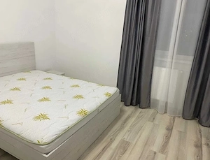  central in SLATINA ofer in CHIRIE apartament 2 camere - imagine 8