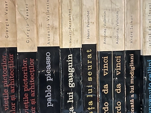 Colecție masivă Biblioteca de artă (550 volume) - Editura Meridiane