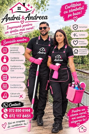 Servici Curatenie 