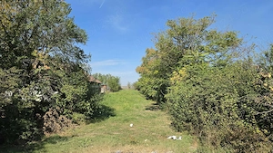 Casa veche cu TEREN 1100 mp  in Maineasca Ilfov la 20 km de Bucuresti 38.000 Euro Negociabil - imagine 5