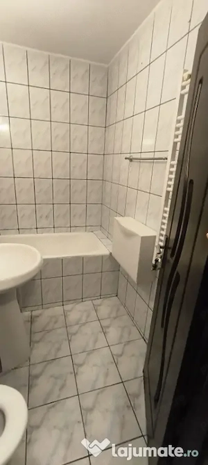 apartament 2 camere-doamna ghica-colentina-modern - imagine 15
