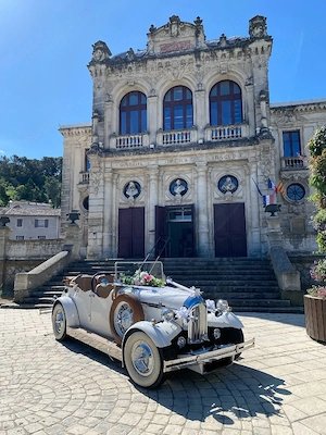 vand volkswagen beetle 