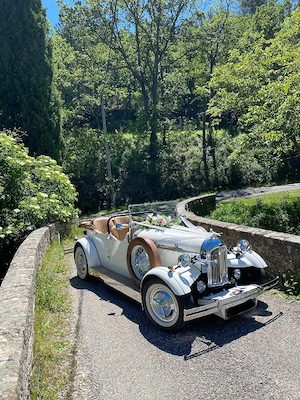 vand volkswagen beetle  - imagine 3