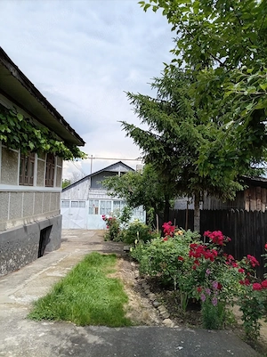 Casă interbelică în centrul comunei Gornet, Prahova   teren 970 mp, vie și grădină - imagine 3