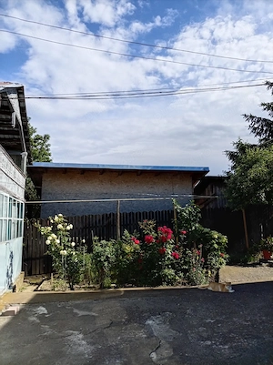 Casă interbelică în centrul comunei Gornet, Prahova   teren 970 mp, vie și grădină - imagine 6