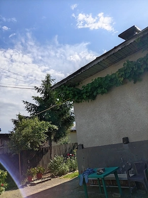 Casă interbelică în centrul comunei Gornet, Prahova   teren 970 mp, vie și grădină - imagine 5