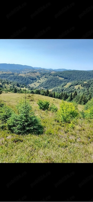      De vanzare-Teren 5 hectare in inima muntilor apuseni!    - imagine 4