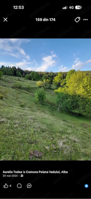      De vanzare-Teren 5 hectare in inima muntilor apuseni!    - imagine 5