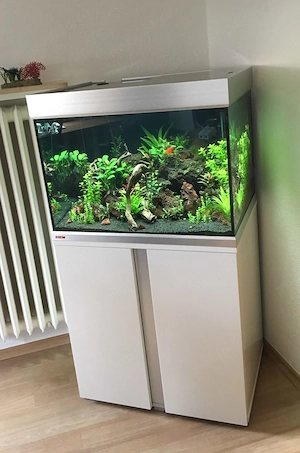 Acvariu pentru pești exotici   sticlă securizată și plexiglas - imagine 5