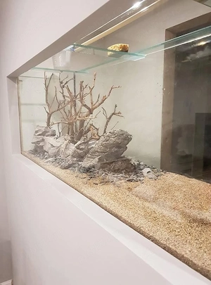 Acvarii din sticlă și plexiglas   modele pentru orice spațiu