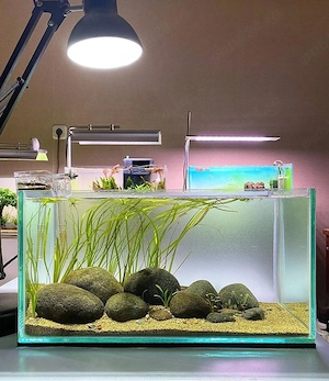 Acvariu pentru pești exotici   sticlă securizată și plexiglas - imagine 3