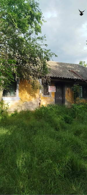 Vand teren intravilan comuna Cateasca ,sat Gruiu , judet Arges - imagine 3