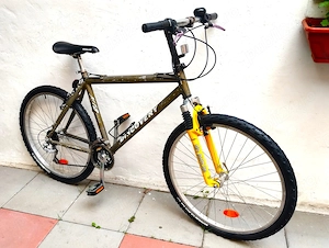 Bicicleta , bike .cluj