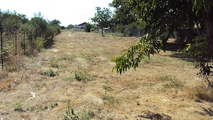 Teren intravilan 3200 mp 1 Decembrie, parcelabil, acces din 2 străzi, proprietar - imagine 7