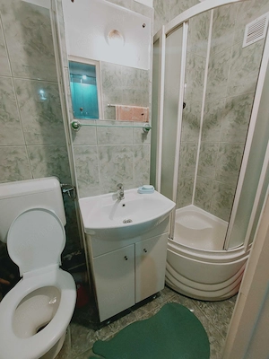 Apartament cu o cameră de închiriat în Buziașului - imagine 3